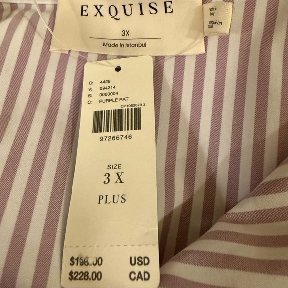 Anthropologie The Tobie Button-Front Pleated Shirt Dress - Picture 14 of 14